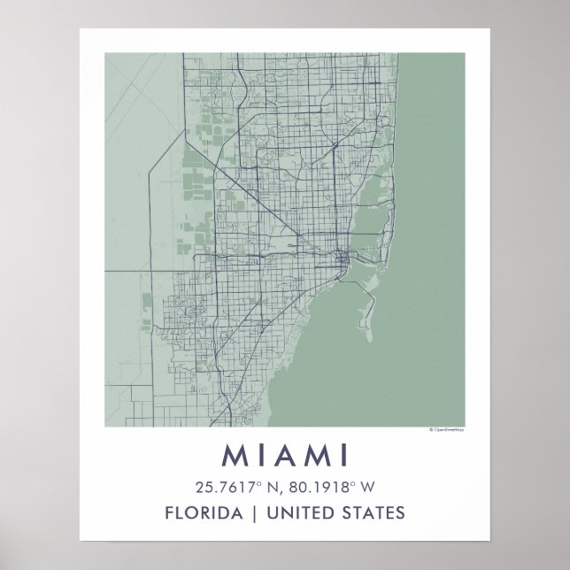 Custom City Map Miami Florida Wall Art Poster (Framsidan)