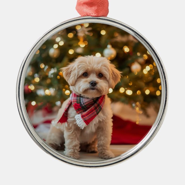 Custom Dog Christmas Ornament | Pet Photo (Framsidan)