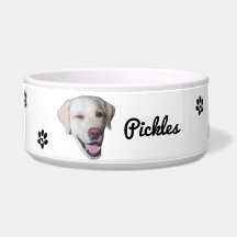 Custom Dog Photo