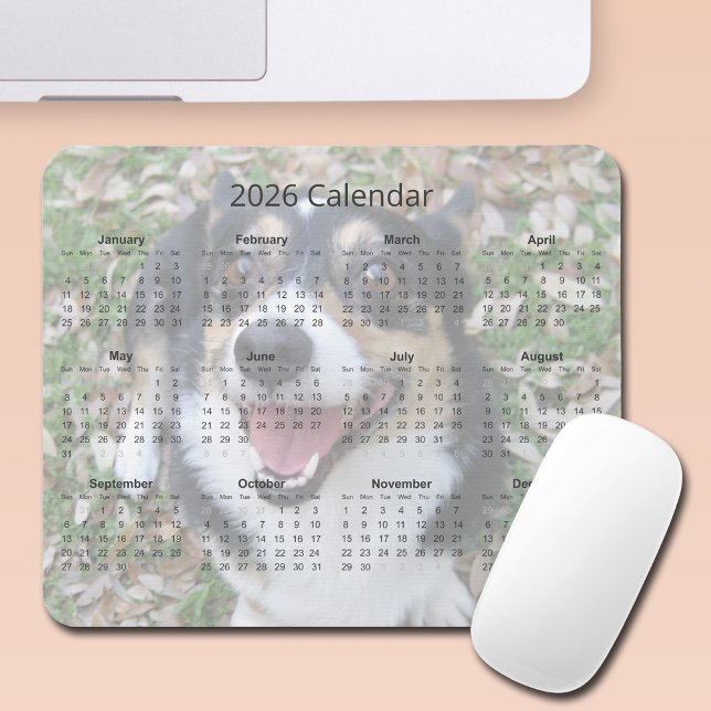 Custom Dog Photo Cute Pet 2026 Calendar Magnet Musmatta (Skapare uppladdad)