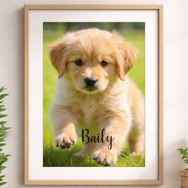 Custom Dog Photo Poster with Name Wall Art (Skapare uppladdad)