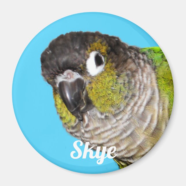 Custom Pet Bird Photo Name Magnet (Framsidan)
