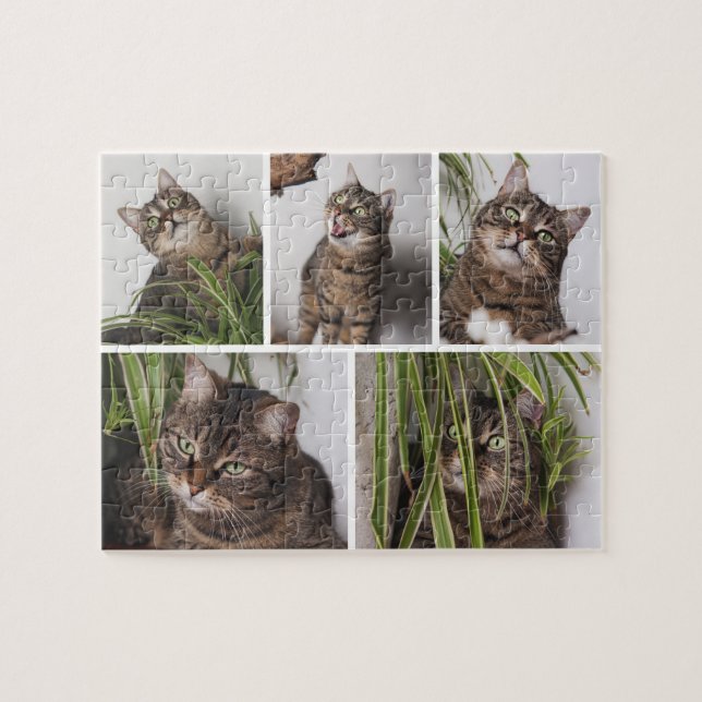 Custom Pet Cat Photo Collage Jigsaw Puzzle Pussel (Horisontell)