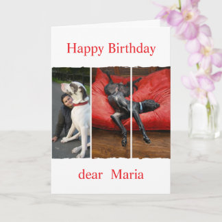Custom pet (dog) photo and message kort
