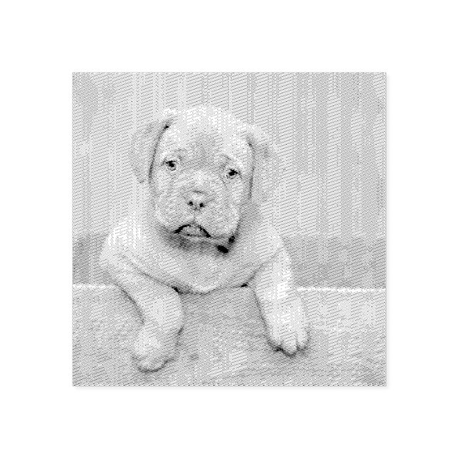 Custom Pet Dog Photo Rubber Personalized Stamp Stämpel (Tryck)