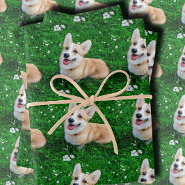 Custom Pet Photo