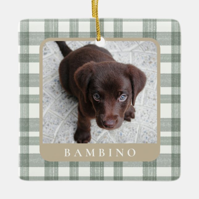 Custom Pet Photo Christmas Ornament (Framsida)