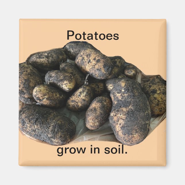 Custom Potato Magnets, harvested Magnet (Framsidan)