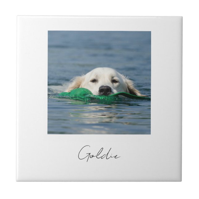 Custom print personalized ceramic dog photo kakelplatta (Framsidan)