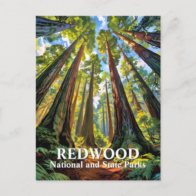 Custom Redwood National Park Trees Painting Travel Vykort (Framsida)
