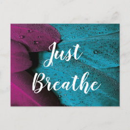 Custom Text Just Breathe Dark Pink & Blue Feathers Vykort