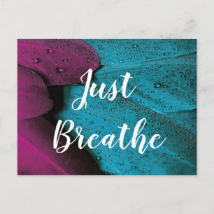 Custom Text Just Breathe Dark Pink & Blue Feathers Vykort