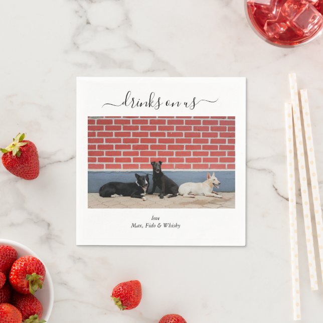 Custom Wedding 3 Dogs Drinks on Us Pet Fun Photo Pappersservett (Insitu)