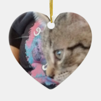 Custom Who Rescued Who Pet Name  Julgransprydnad Keramik