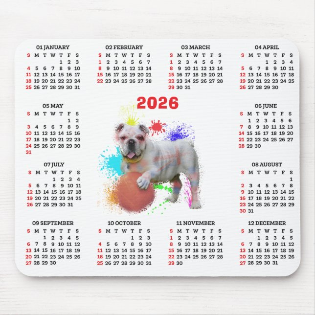 Customisable Cute British Bulldog Calendar Musmatta (Framsidan)