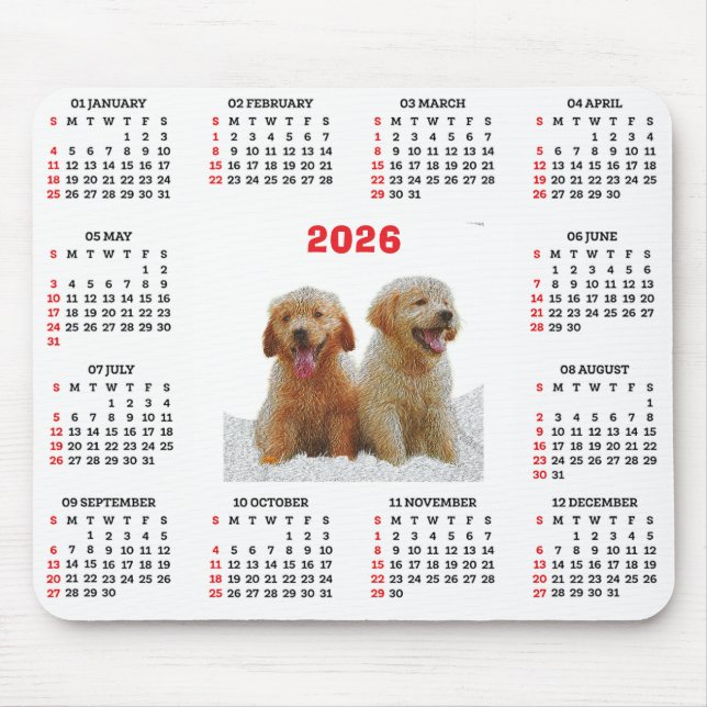 Customisable Cute Golden Retriever Dog Calendar  Musmatta (Framsidan)
