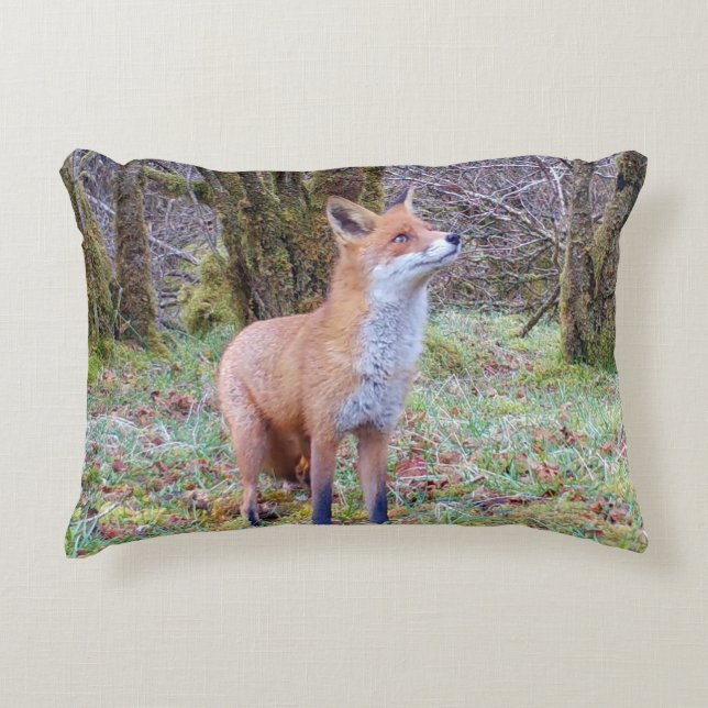 Customisable Red Fox Looking Up Cushion Prydnadskudde (Framsidan)