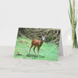 Customisable Roe Deer Buck Greeting Card  Tack Kort