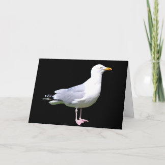Customisable Seagull Standing Greetings Card Kort