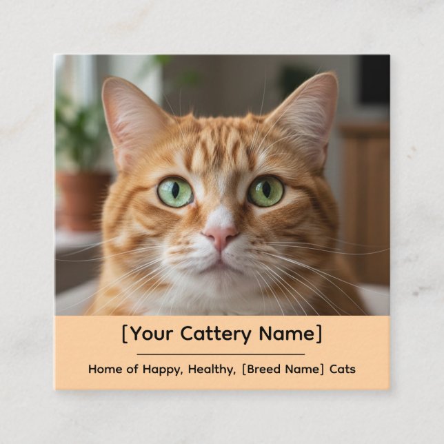 Customizable Cattery Business Card with Cat Photo  Fyrkantigt Visitkort (Framsida)