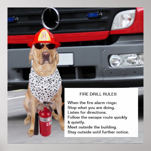 Customizable Fire Drill Poster (Framsidan)