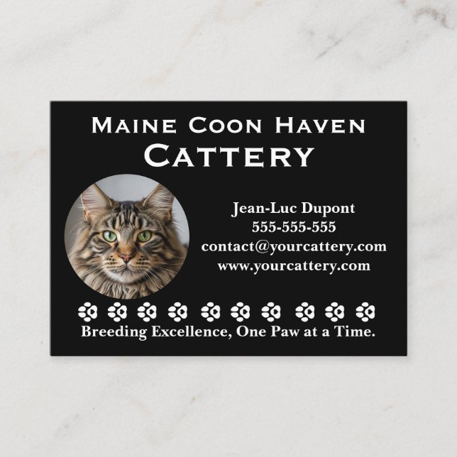 Customizable Maine Coon Cattery Business Card Visitkort (Framsida)