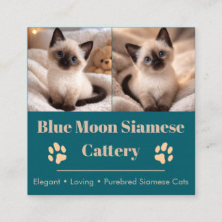 Customizable Siamese Cattery Business Card  Fyrkantigt Visitkort