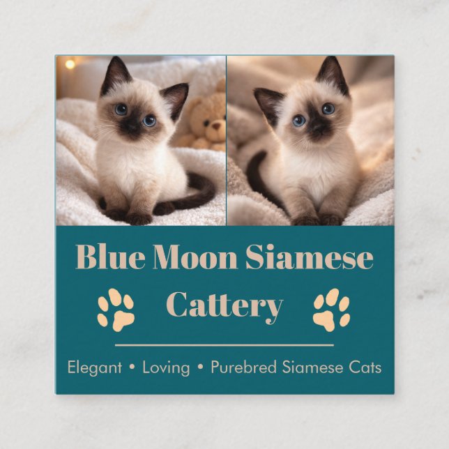 Customizable Siamese Cattery Business Card  Fyrkantigt Visitkort (Framsida)