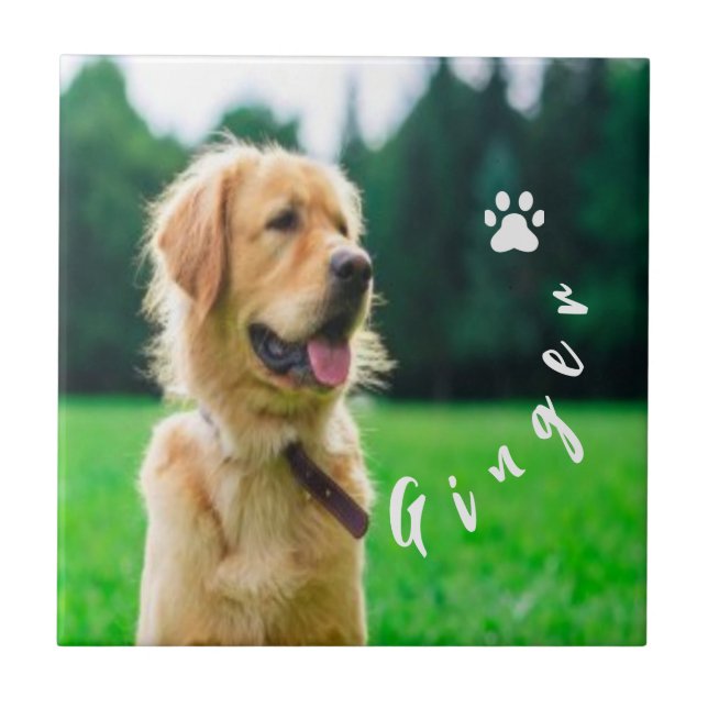  Customized Pet  Photo Dog Lover with Photo Kakelplatta (Framsidan)