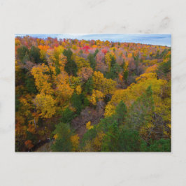 Cut River-dalen på hösten, Michigan Vykort