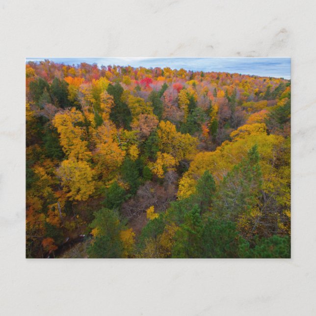 Cut River-dalen på hösten, Michigan Vykort (Framsida)