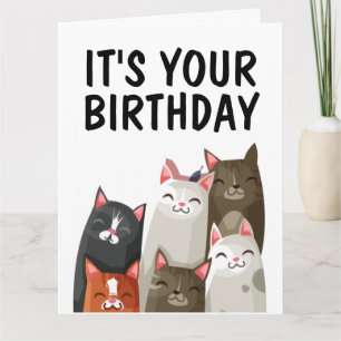 CUTC CAT LOVER BIRTHDAG ÖVERSIKT KORT