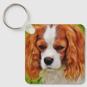 Cute 2 Photo Dubbla Sided Pet Photo Nyckelring