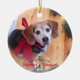 Cute 2 Sidofoto Merry och Bright Hund Julgransprydnad Keramik
