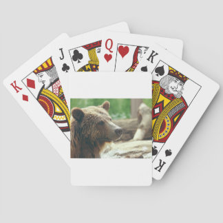 Cute Adness Near Animal Ansikte Ögon Casinokort