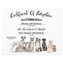 Cute Adoption Pet Puppy Hund Certificate