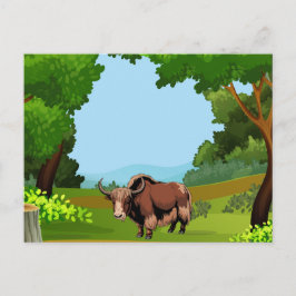 Cute & adorable brown Yak  Vykort