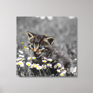Cute Adsible Cat Kitten Canvastryck