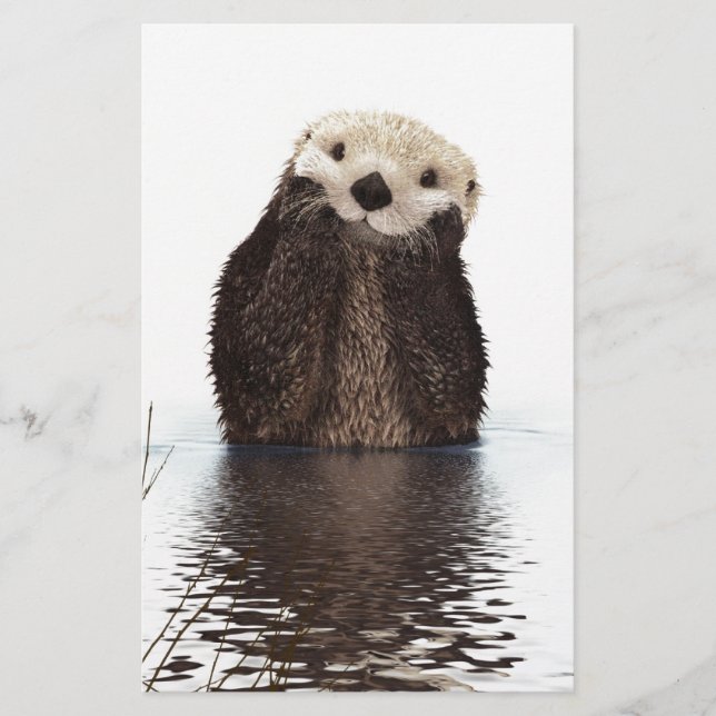 Cute Adsible Fluffy Otter Animal (Framsida)