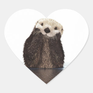Cute Adsible Fluffy Otter Animal Hjärtformat Klistermärke