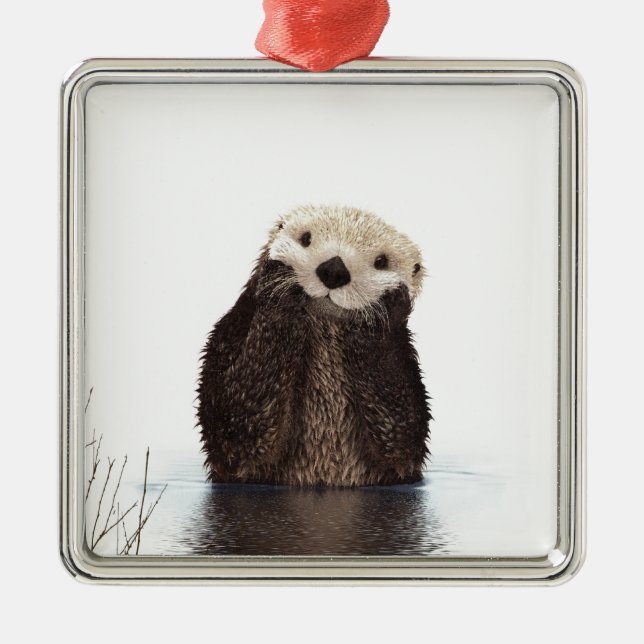 Cute Adsible Fluffy Otter Animal Julgransprydnad Metall (Framsidan)