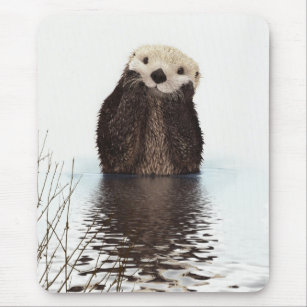Cute Adsible Fluffy Otter Animal Musmatta