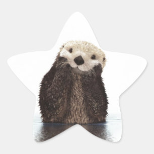 Cute Adsible Fluffy Otter Animal Stjärnformat Klistermärke