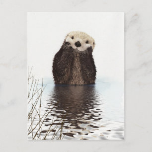 Cute Adsible Fluffy Otter Animal Vykort