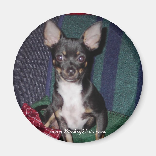 Cute & Adsible MickeyElvis Magnet (Framsidan)