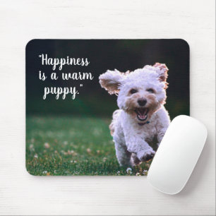 Cute Adsible White Puppy Musmatta