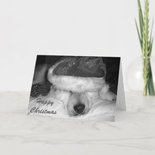 Cute akita hund Santa cones sov christmas Helgkort