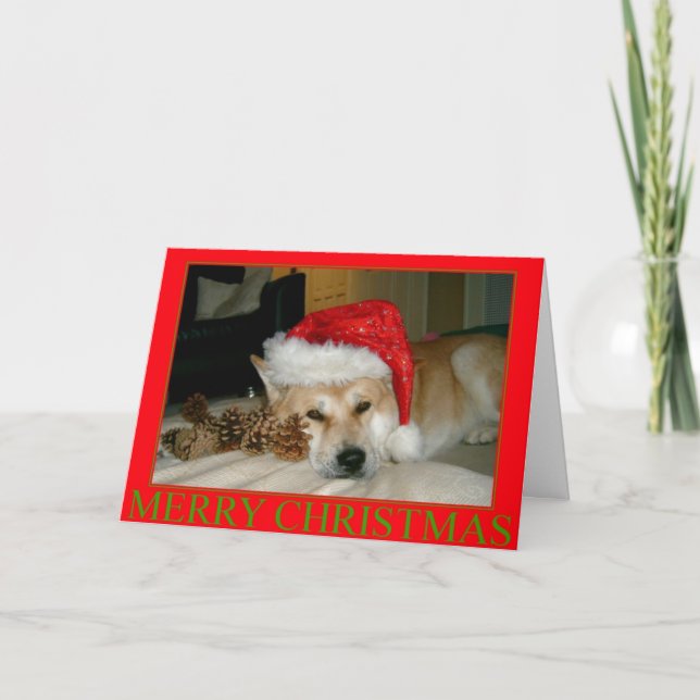 Cute akita i tomathatt och konger för julklappar helgkort (Framsida)