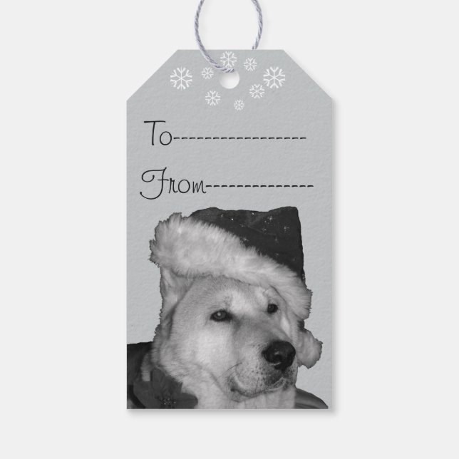 Cute akita in red Santa christmas hund Presentetikett (Baksidan)