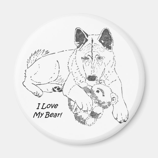Cute akita med nalle hund porträtt art magnet (Framsidan)